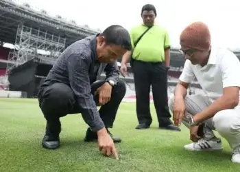 Kondisi Rumput SUGBK Menjelang Kualifikasi Piala Dunia