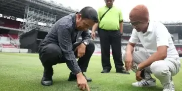 Kondisi Rumput SUGBK Menjelang Kualifikasi Piala Dunia