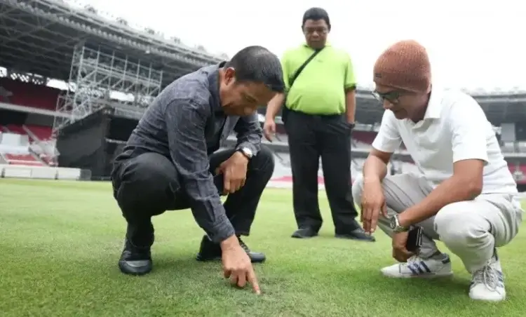 Kondisi Rumput SUGBK Menjelang Kualifikasi Piala Dunia