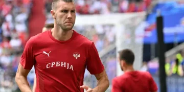 Keyakinan Ibrahimovic Terhadap Pavlovic